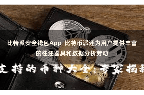 比特派安全钱包App  比特币派还为用户提供丰富的往还器具和数据分析劳动